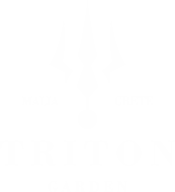 triton-logo-white